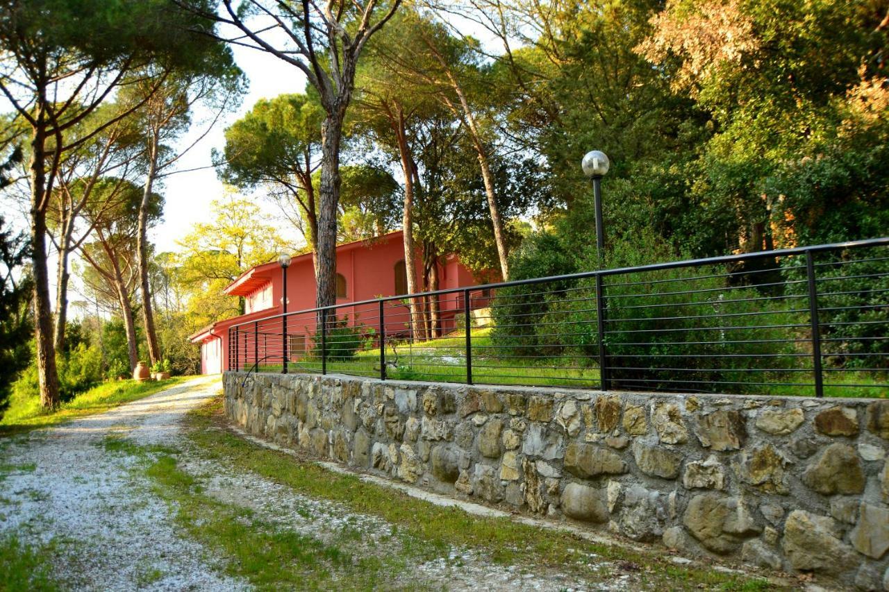 Poggio Al Pino *